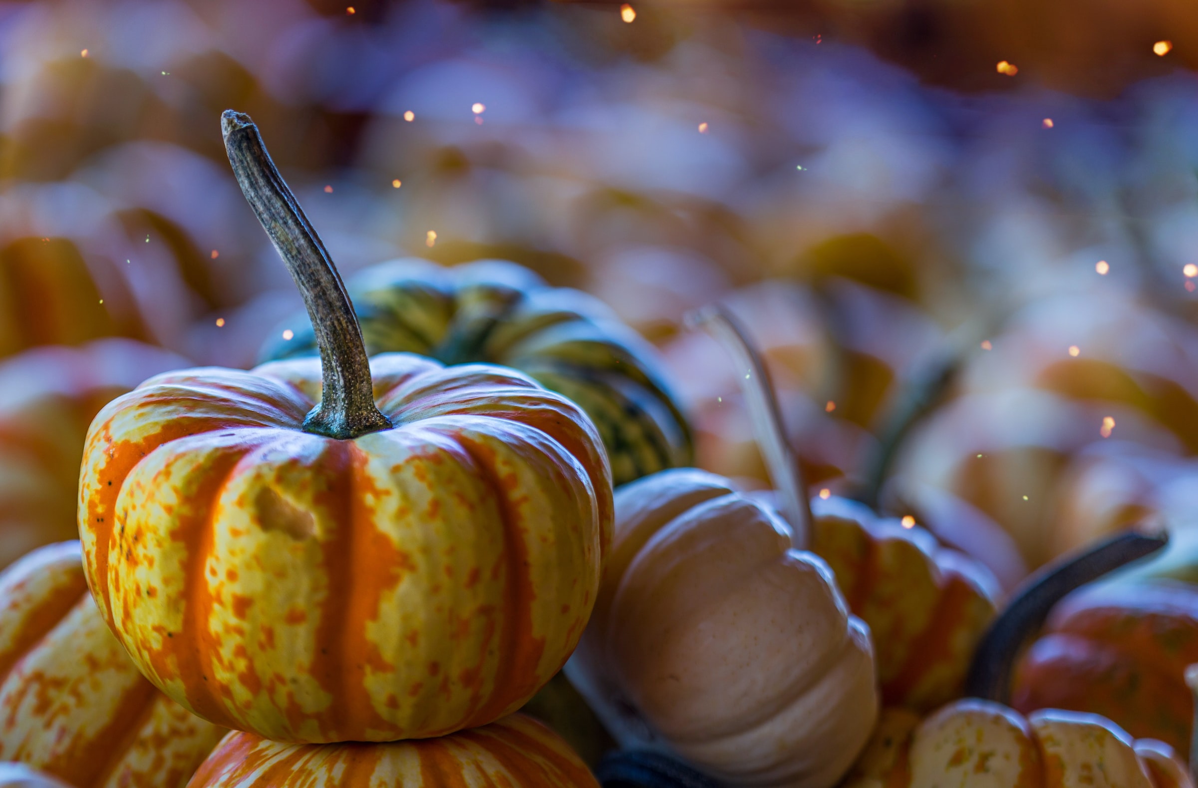 green, orange and yellow pumpkins